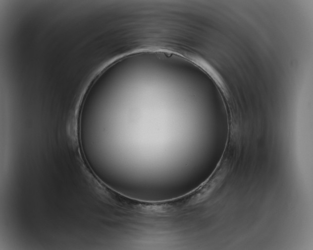 X0000089951004200706291208