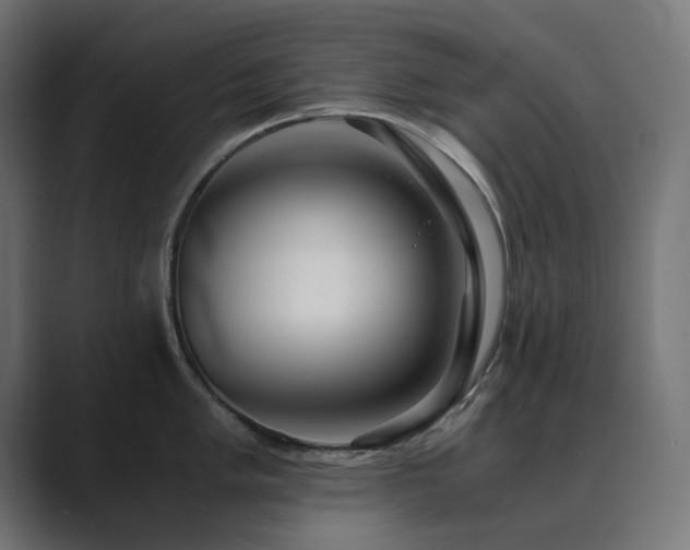 X0000089951005200706291208