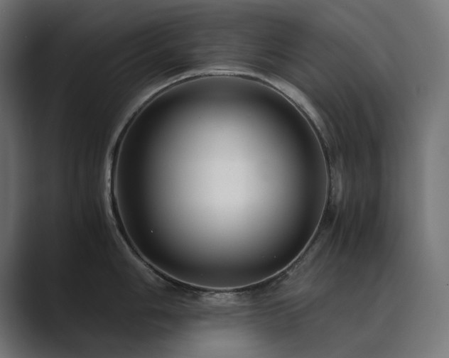 X0000089951006200706291208