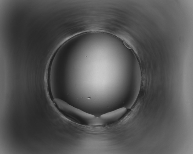X0000089951007200706291208