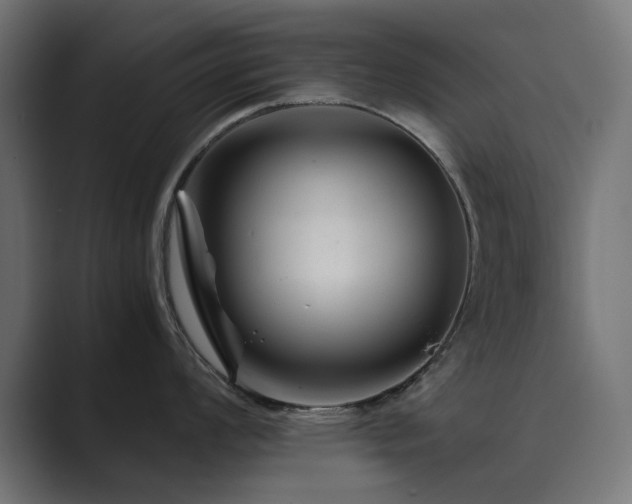 X0000089951008200706291208