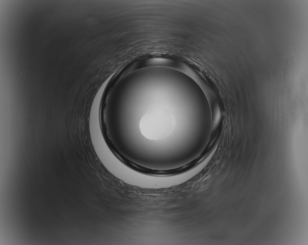 X0000089951010200706291208