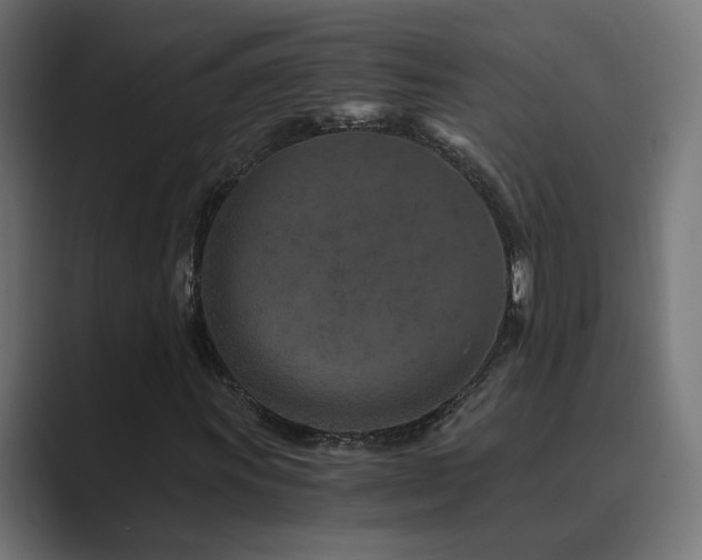 X0000089951011200706291208