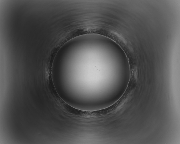 X0000089951012200706291208