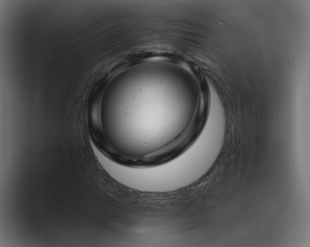 X0000089951014200706291208