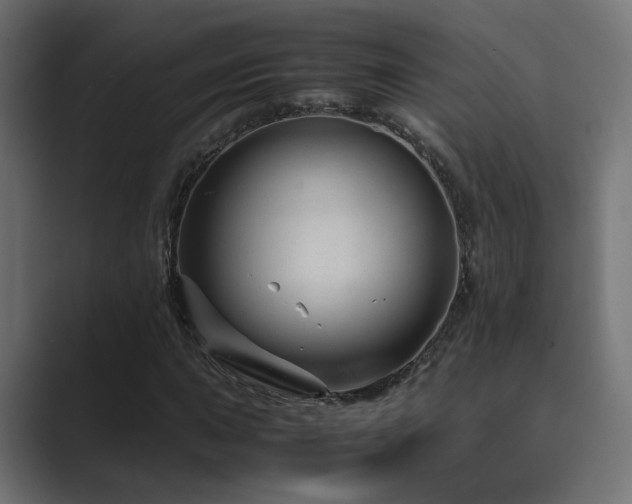 X0000089951015200706291208