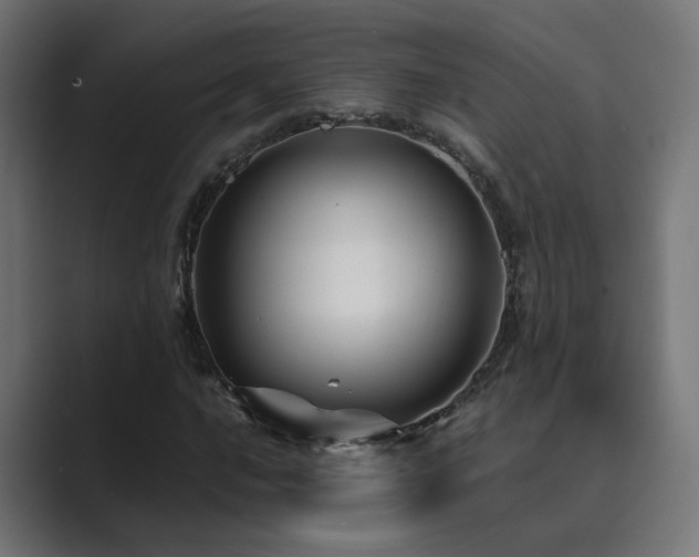 X0000089951016200706291208