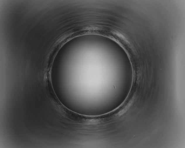 X0000089951017200706291208