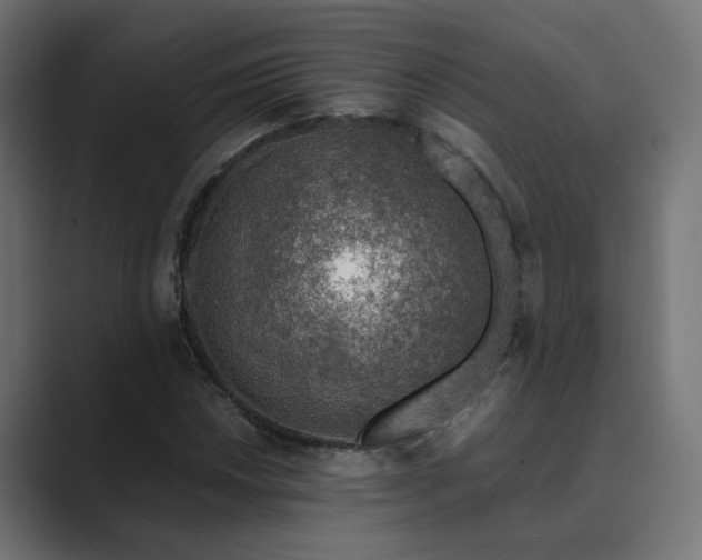 X0000089951018200706291208