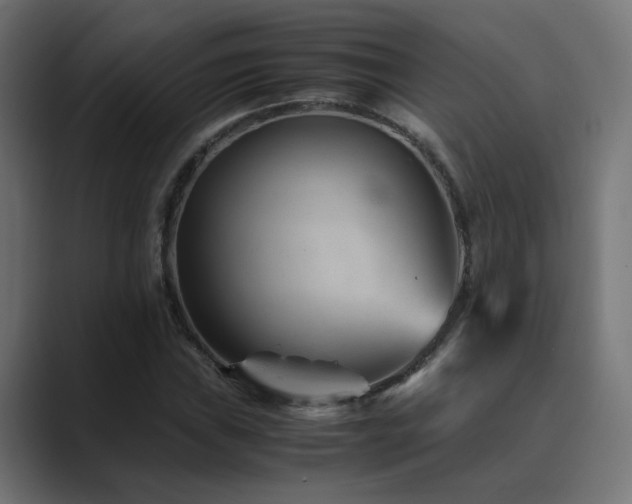 X0000089951019200706291208