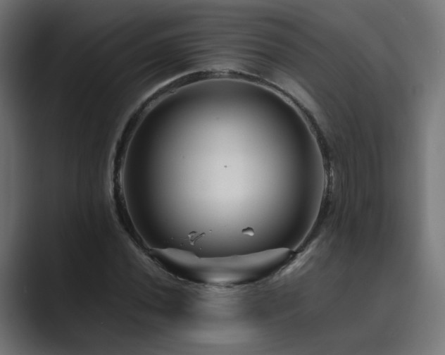 X0000089951020200706291208