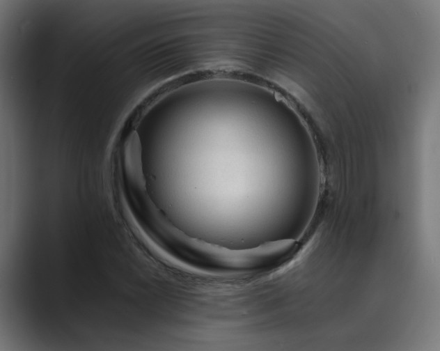 X0000089951022200706291208