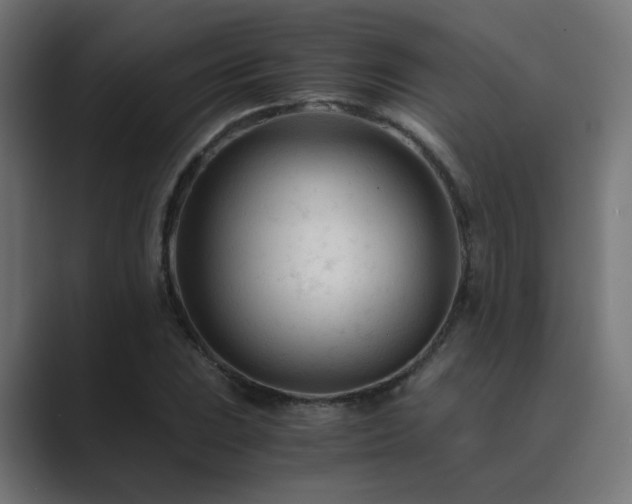 X0000089951023200706291208