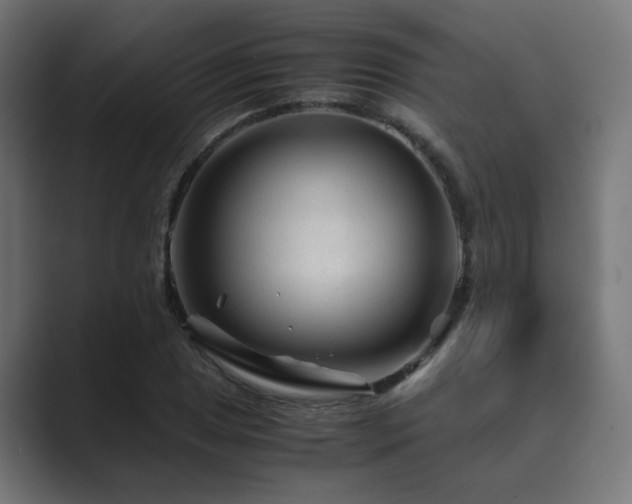 X0000089951025200706291208