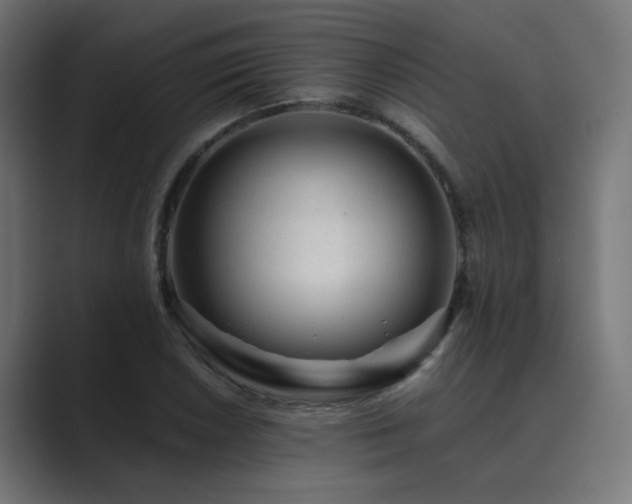 X0000089951026200706291208