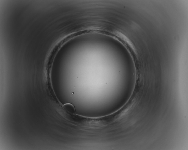 X0000089951027200706291208