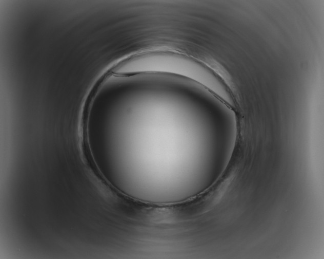 X0000089951028200706291208
