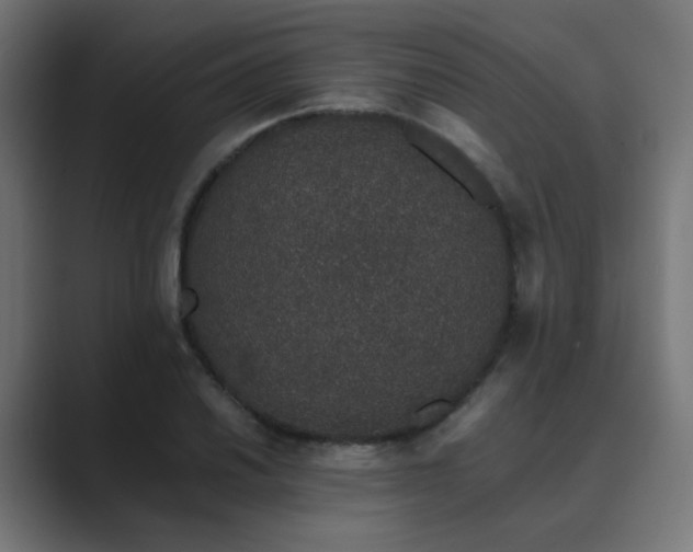 X0000089951030200706291208