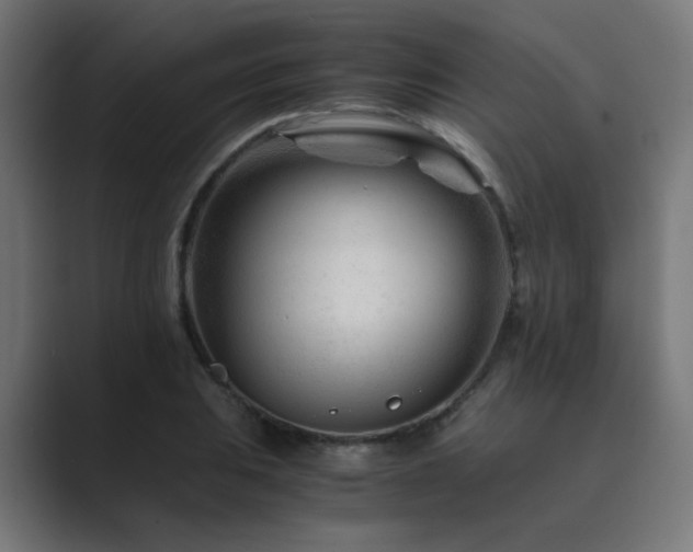 X0000089951031200706291208