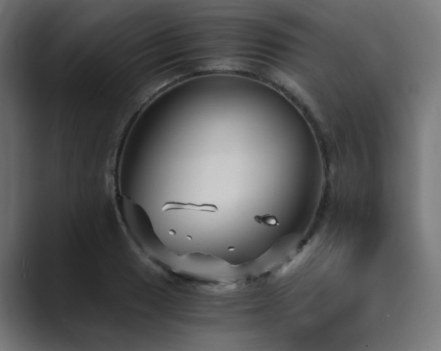 X0000089951033200706291208