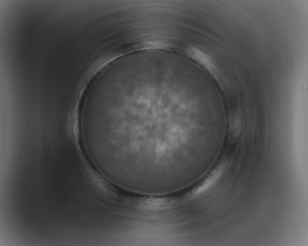 X0000089951034200706291208