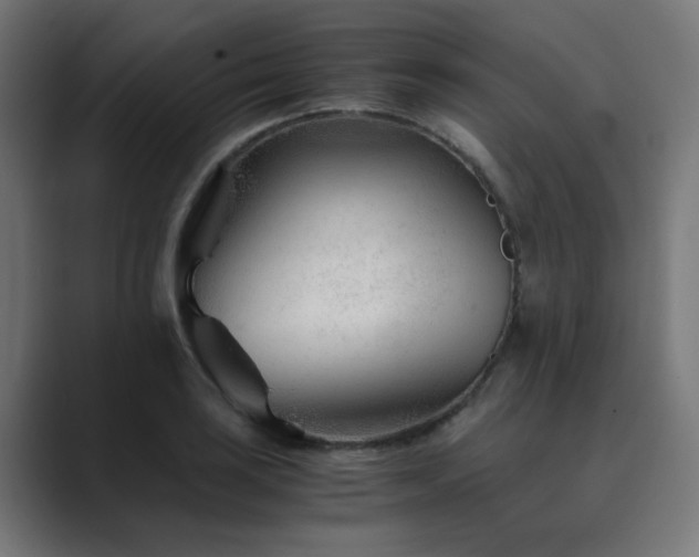 X0000089951035200706291208