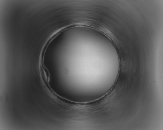 X0000089951036200706291208