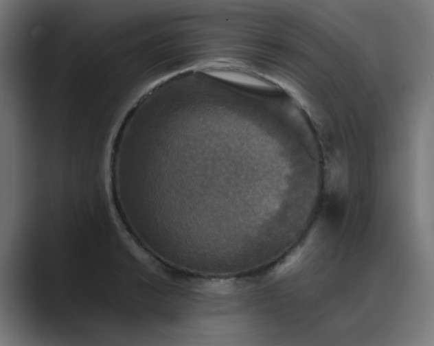 X0000089951038200706291208