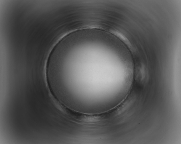 X0000089951039200706291208
