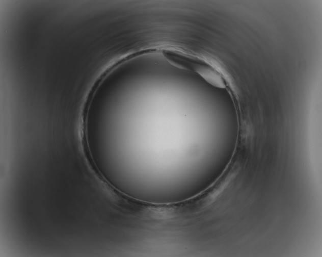 X0000089951040200706291208