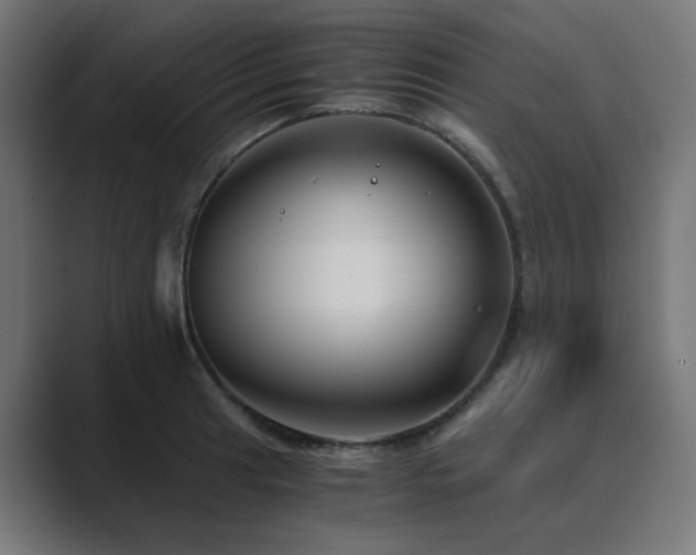 X0000089951041200706291208