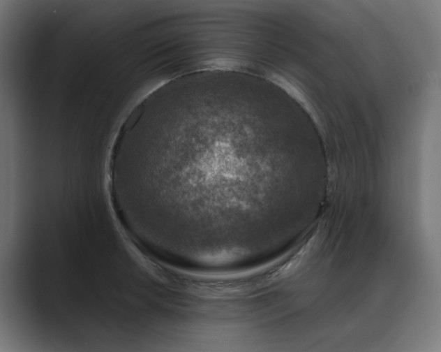 X0000089951042200706291208
