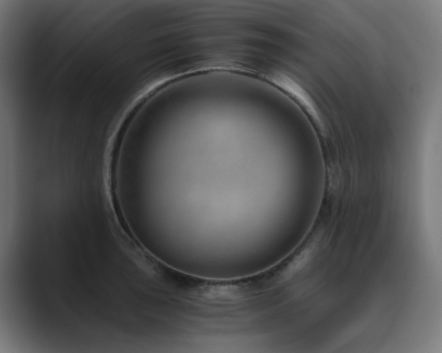 X0000089951043200706291208