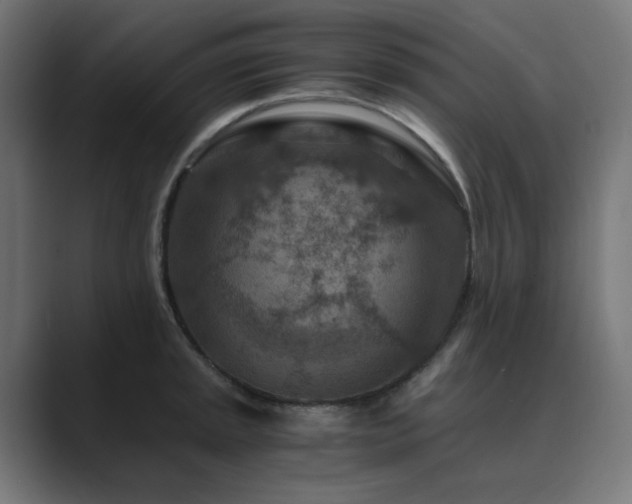 X0000089951045200706291208