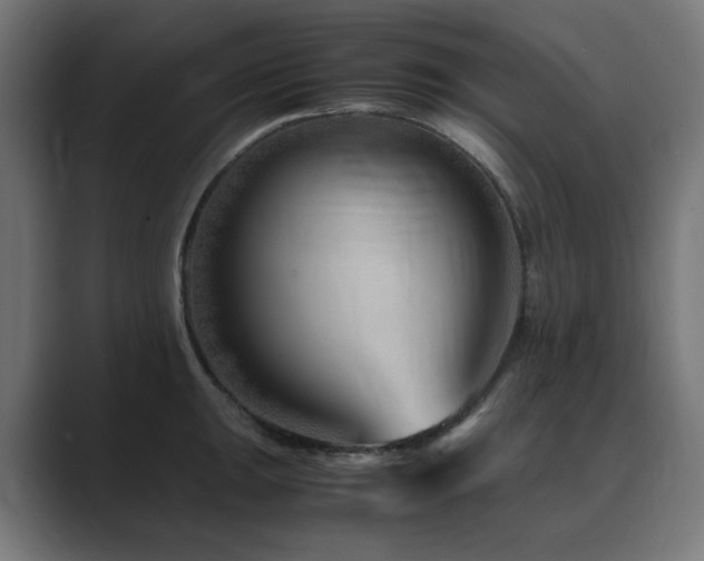 X0000089951047200706291208
