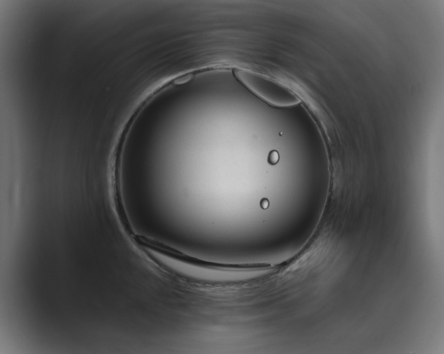 X0000089951048200706291208