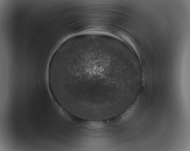 X0000089951050200706291208