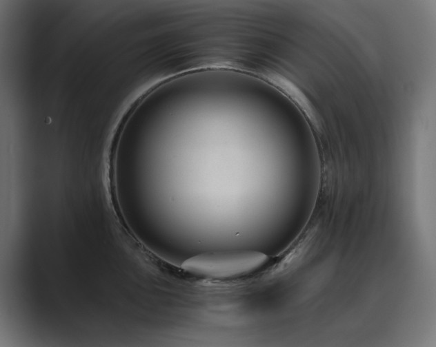 X0000089951051200706291208