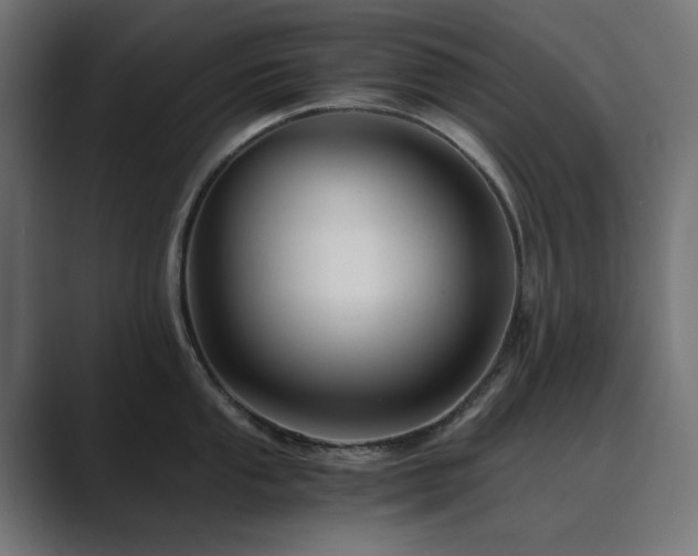 X0000089951053200706291208