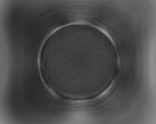 X0000089951054200706291208