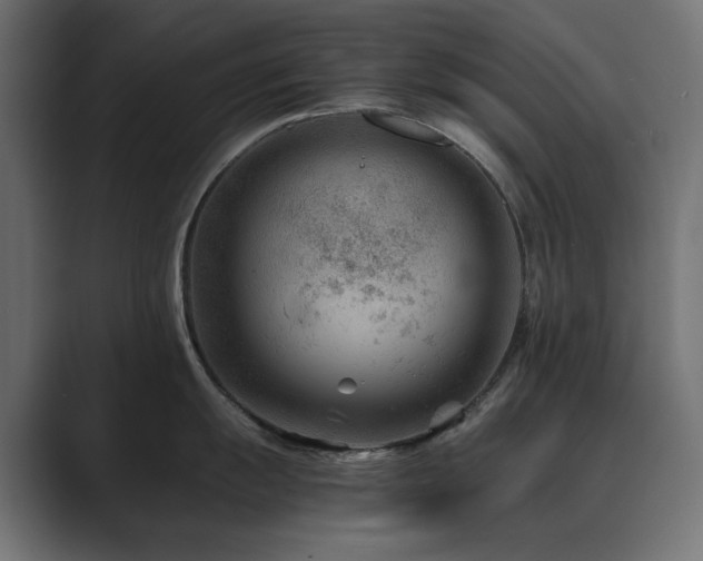 X0000089951055200706291208