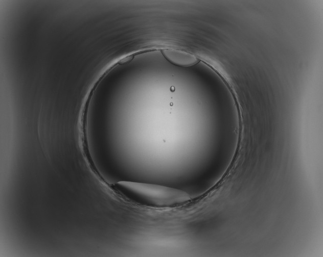X0000089951056200706291208