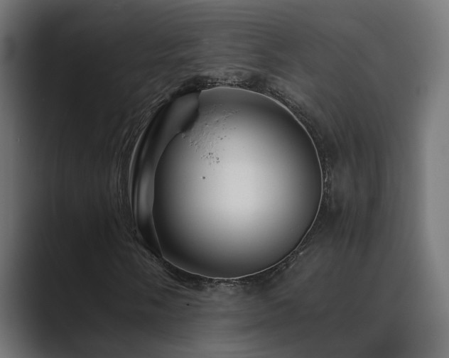 X0000089951058200706291207