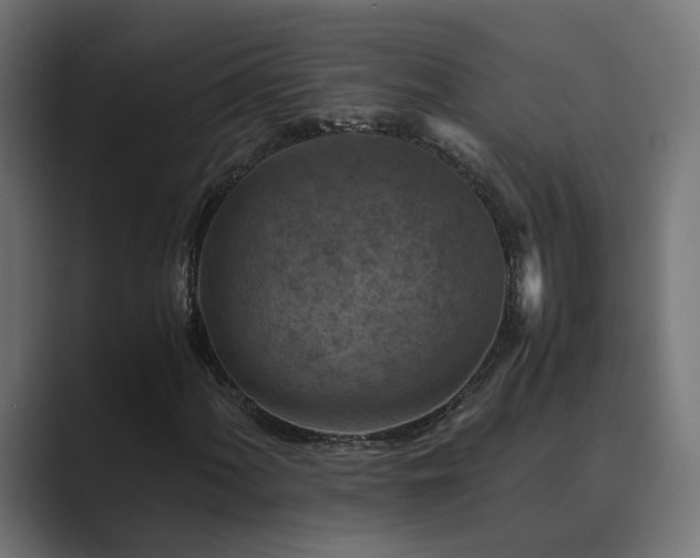 X0000089951060200706291207