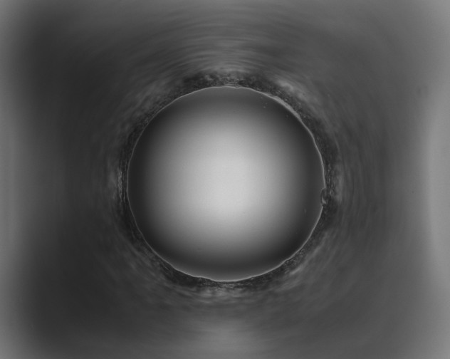 X0000089951061200706291207