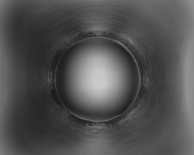 X0000089951062200706291207