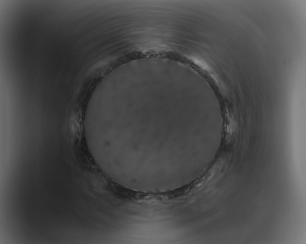 X0000089951063200706291207