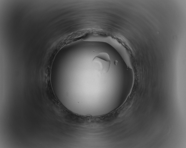 X0000089951064200706291207