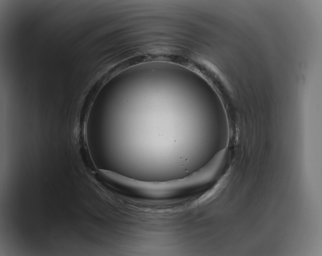 X0000089951065200706291207