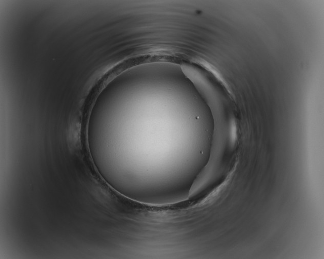 X0000089951066200706291207